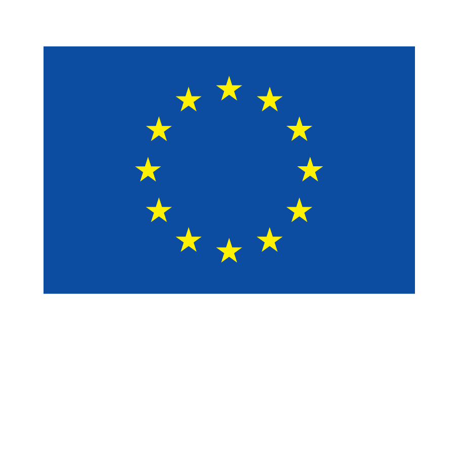 logo funded by the EU