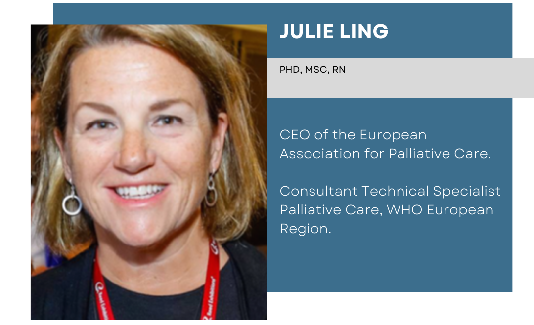 banner with the photo and resume of Julie Ling