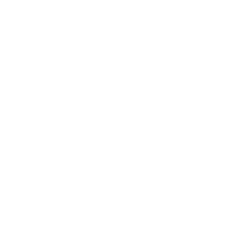 PsyPal transparent logo